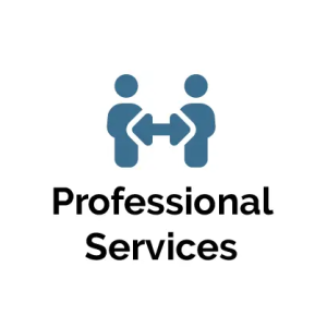 Professional consulting services (1 month)