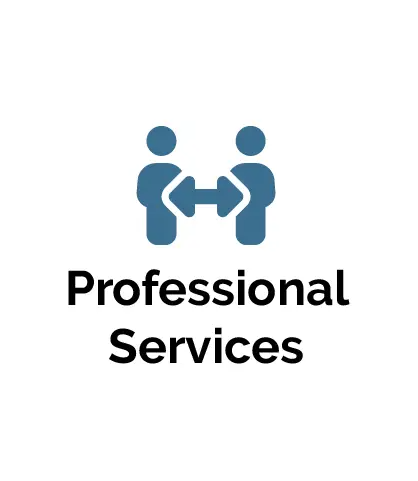 Professional consulting services (1 month)